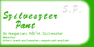 szilveszter pant business card